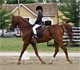 2009 AHANE Show Photo