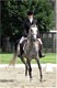2009 AHANE Show Photo