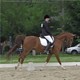 2009 AHANE Show Photo