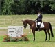 2009 AHANE Show Photo