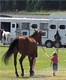 2009 AHANE Show Photo