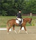 2009 AHANE Show Photo