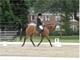 2009 AHANE Show Photo