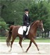 2009 AHANE Show Photo
