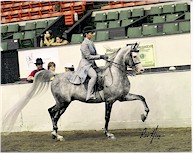 2001 SWEEPSTAKES GELDING