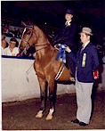 Saddle Seat Suit
