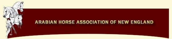 Arabian Horse Association Of New England